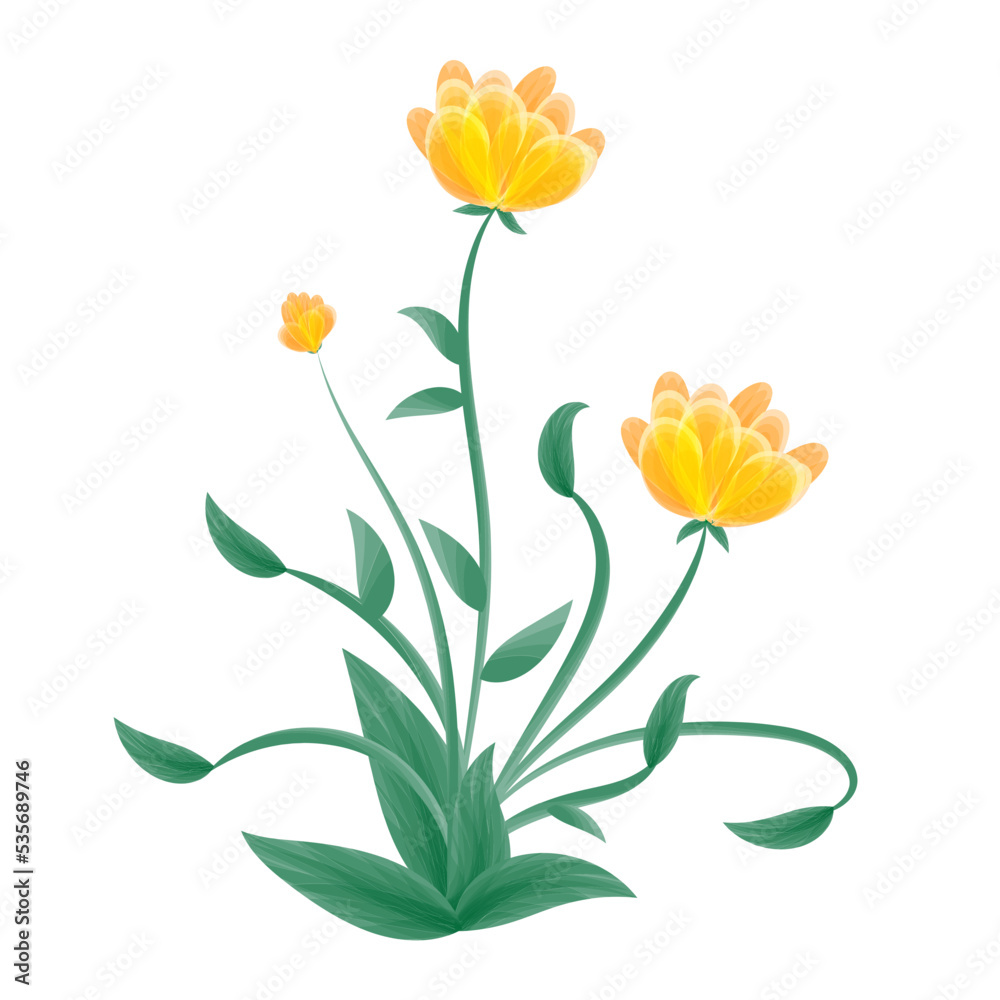 Plant with yellow flowers Plant with yellow flowers