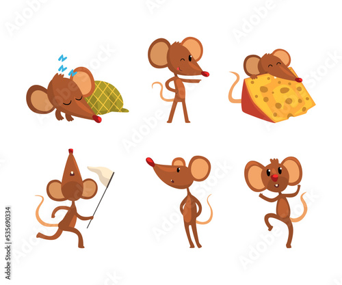 Set of mice in various activities. Funny curios brown rodent animal character cartoon vector illustration