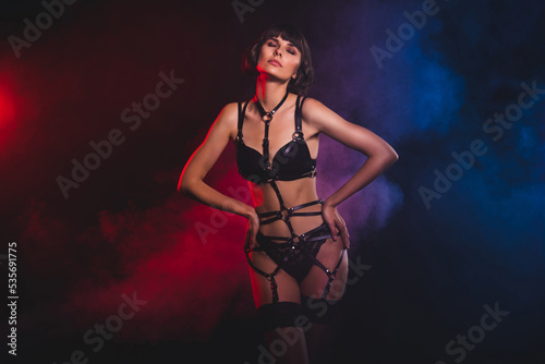 Portrait of attractive dreamy kinky trendy naked fit girl posing wear harness isolated over black blue light color background