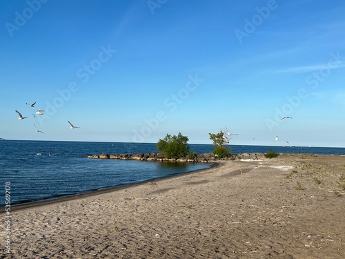 Hamlin State Park