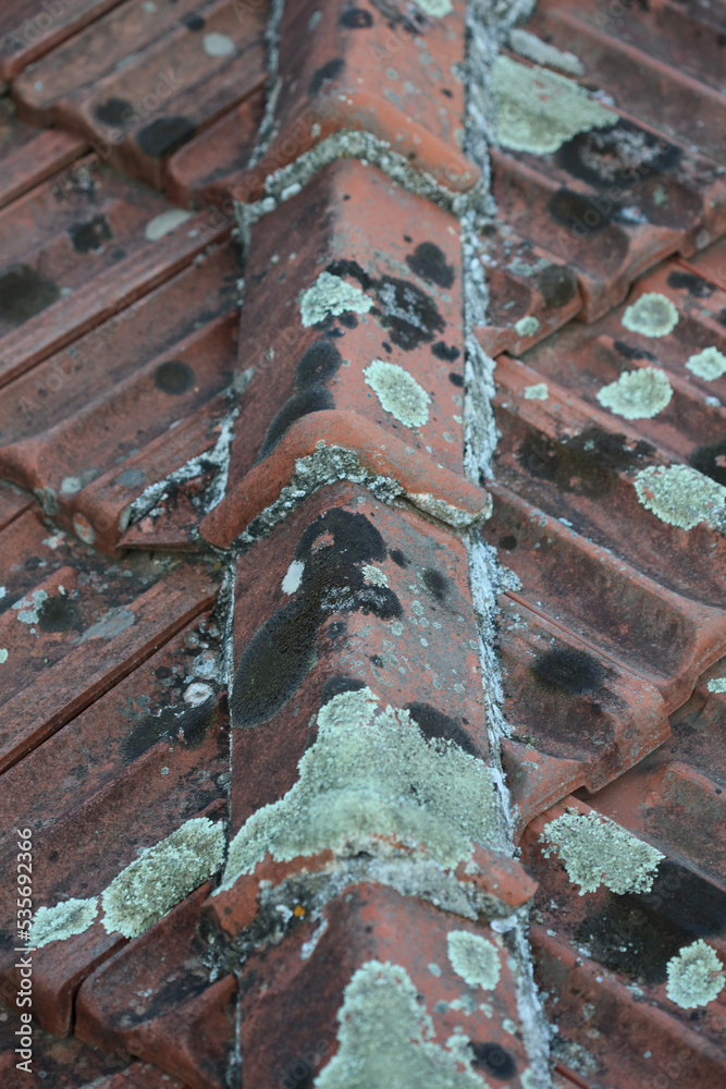 Old roof tiles with lichens closeup vintage background high quality big size print