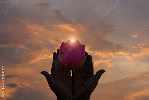 A hand holding a royal lotus flower into the evening sky illuminated by the sun's rays is a symbol of worship and religious concepts. photo