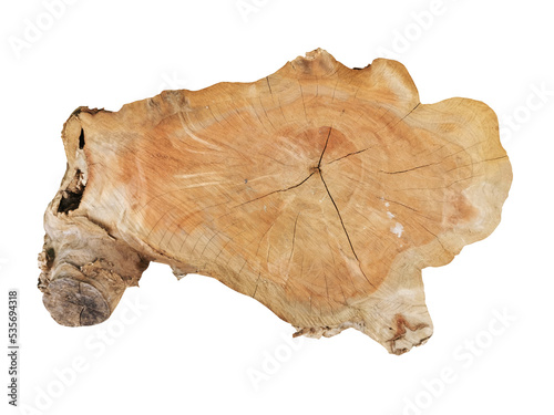 texture wood of cut tree trunk pattern png file