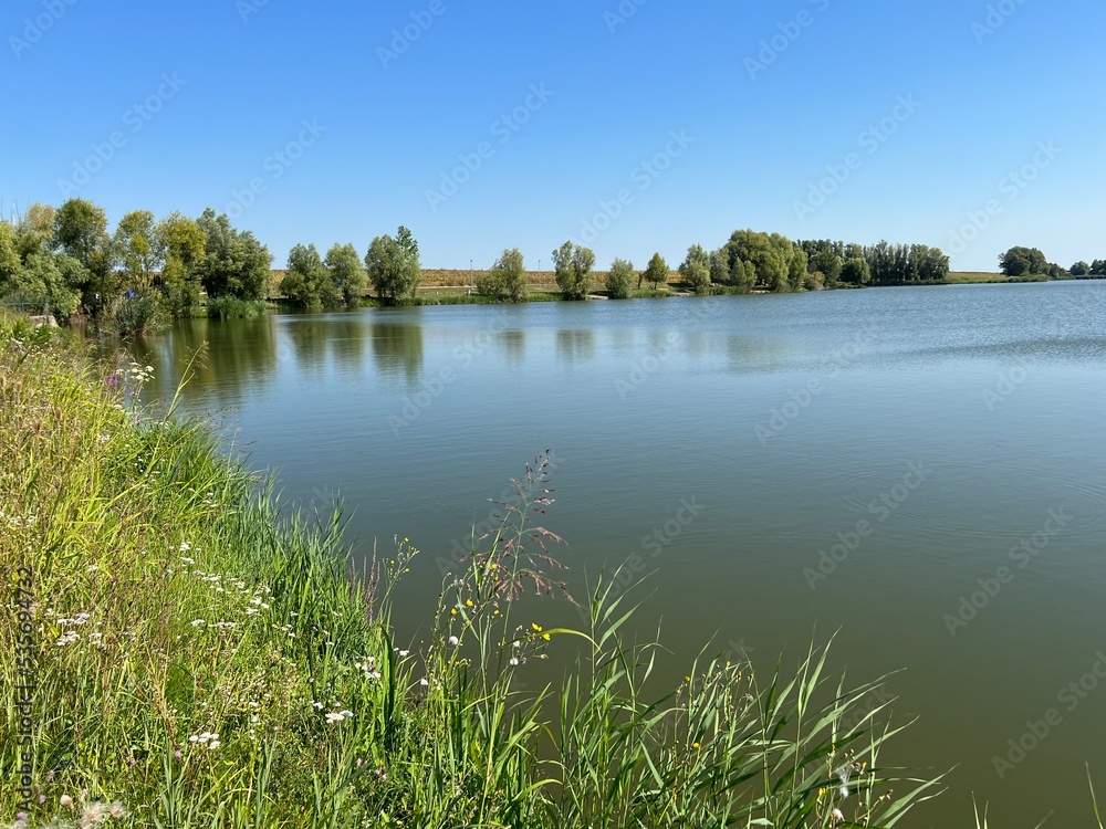 Obraz premium Kaisevac lake / Grabovo reservoir or Grabovo-Kaisevac pond - Vukovar, Croatia (Jezero Kaiševac / Akumulacija Grabovo ili ribnjak Grabovo-Kaiševac - Srijem, Hrvatska)