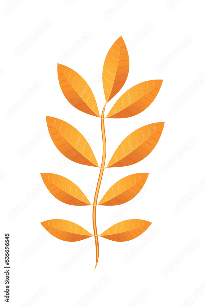 autumn branch leaves autumn branch leaves