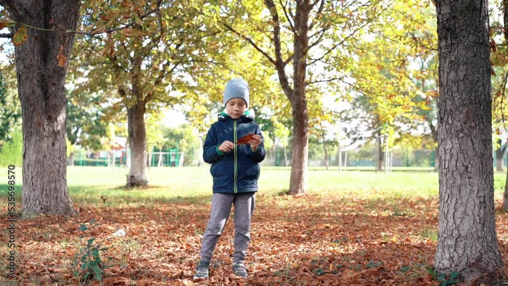boy playing with leaves boy playing with leaves