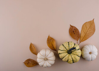 Autumn background with dry leaves.