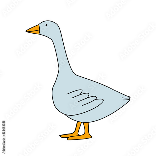 Cute flat cartoon goose. Vector illustration isolated on white background. Farm animal for kids