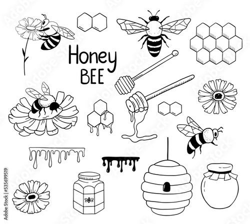 Set with honey bee, honeycomb and beehive isolated on white. Insect in hand drawn outline style. Collection of vector monochrome doodle illustration.