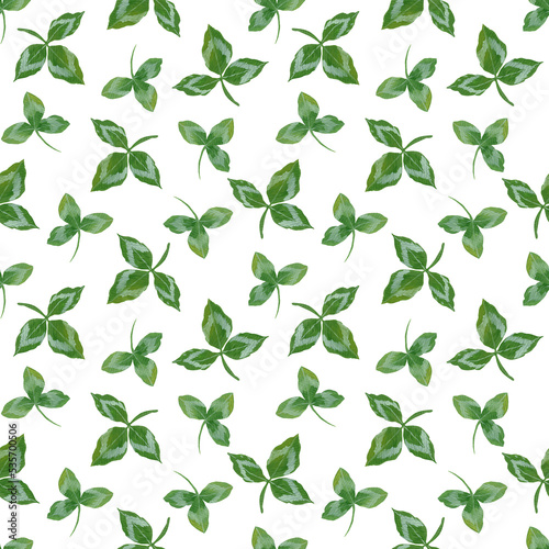 seamless gouache pattern with clover leaves on a white background.
