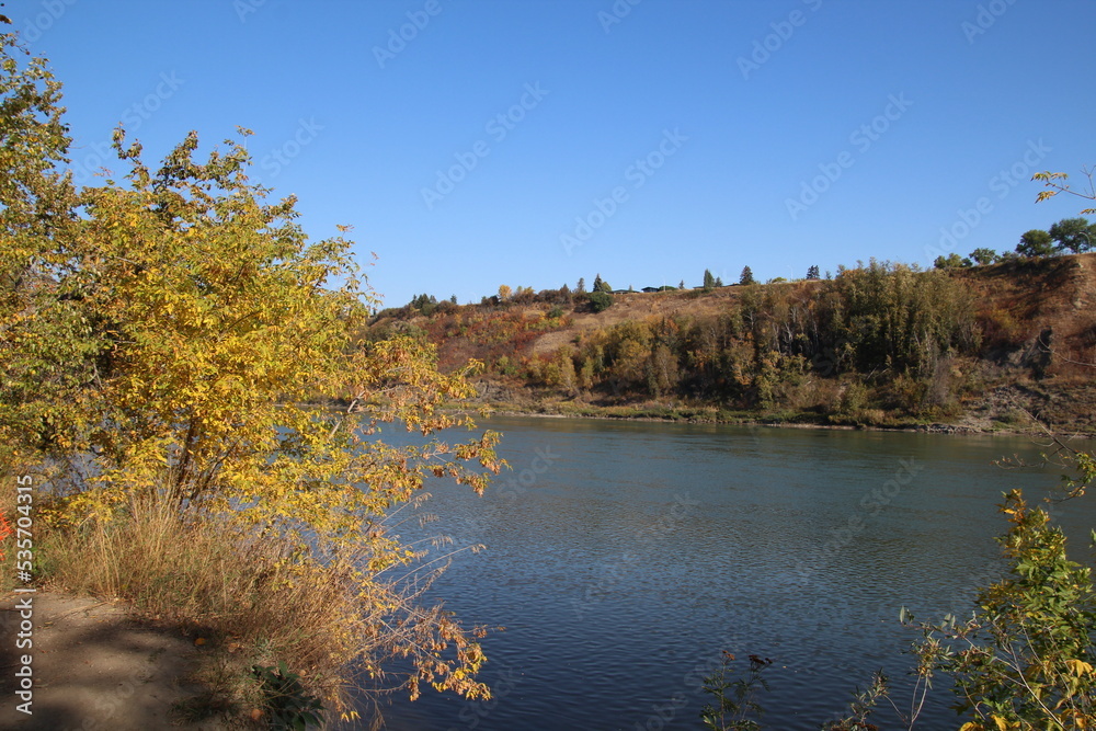 Fototapeta premium autumn in the park