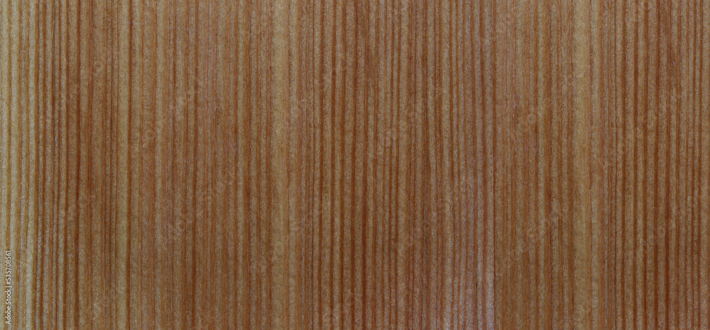Fototapeta premium old wood texture background.