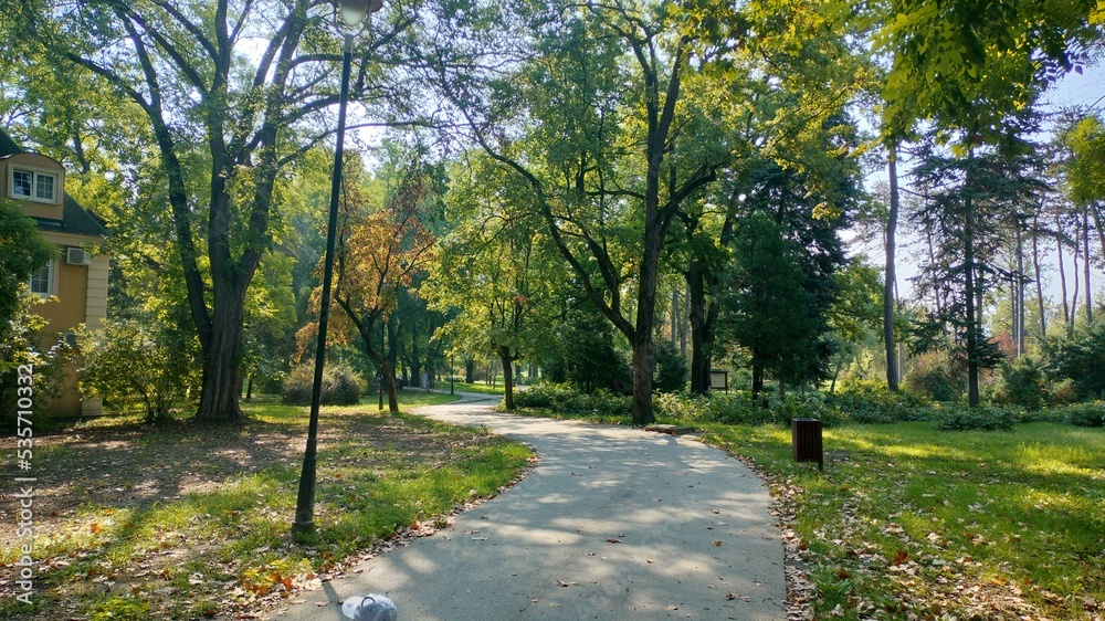 Fototapeta premium Futoshka park in Novi Sad, Serbia.