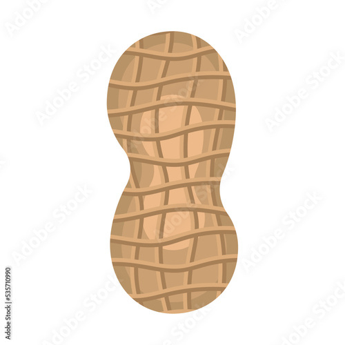 peanut seed organic