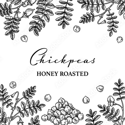Hand drawn chickpeas botany background. Vector illustration in sketch style. Packaging design