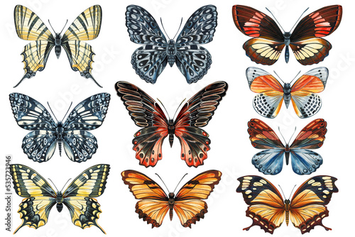Set of butterflies isolated on a white background. Watercolor Illustration, vintage style. Template for your design.