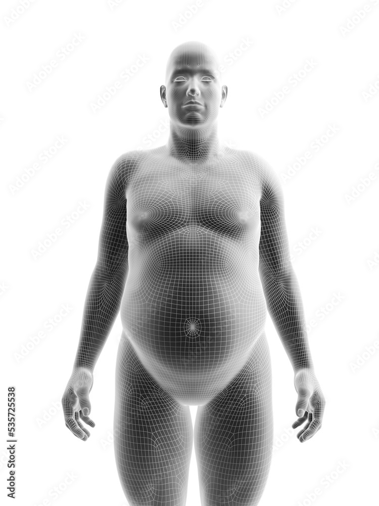 Fototapeta premium 3d rendered medically accurate illustration of an obese male