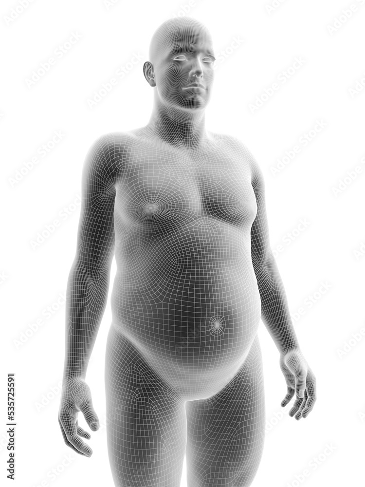 Fototapeta premium 3d rendered medically accurate illustration of an obese male