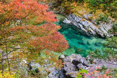 秋になると阿寺渓谷の阿寺ブルーと紅葉の景色が広がります