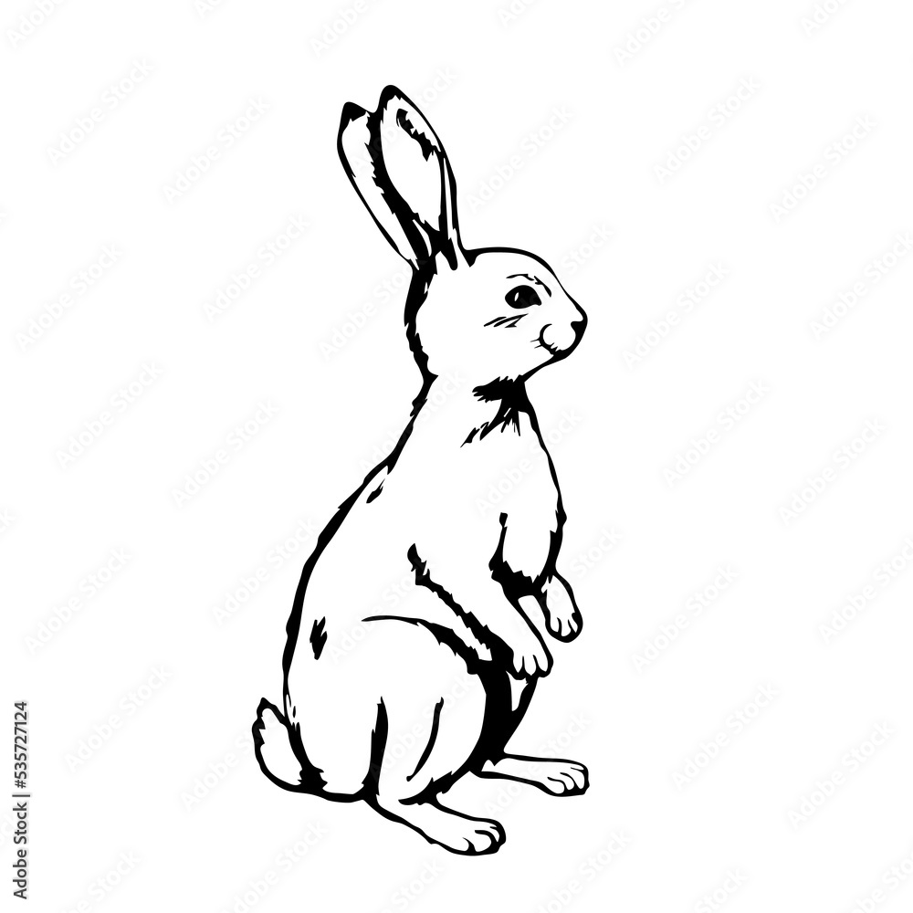 Obraz premium Black outline rabbit on white background. Vector illustration.