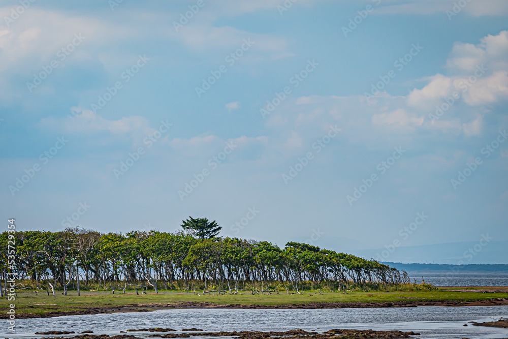 野付半島の風景 Stock Photo Adobe Stock