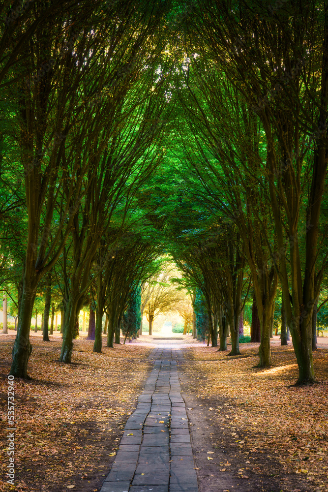 Obraz premium Walkway lane path with green trees in the park