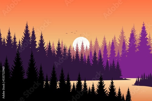 sunset in the forest