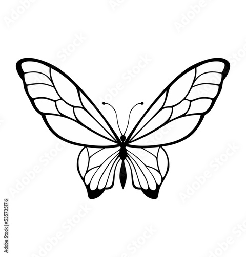 silhouette of a tropical butterfly