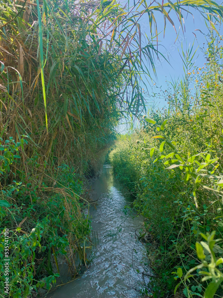 Obraz premium rocks in creek or stream flowing water, Down Stream, Dingman's Creek at George W. Childs State Forest Park in Dingman's Ferry, PA on a sunny summer day