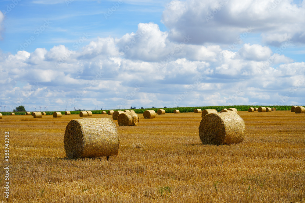 Fields near Bad Wünnenberg. Landscape with a wide view and round bales of straw after the harvest. Nature in autumn.
