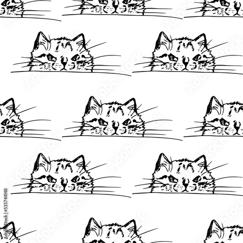 Set of cats. Domestic kitten. Black silhouette of kitten.