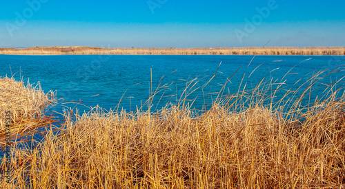Fototapeta Naklejka Na Ścianę i Meble -  Calm wide river, fishing landscape. Reeds and kugai along the river bank.