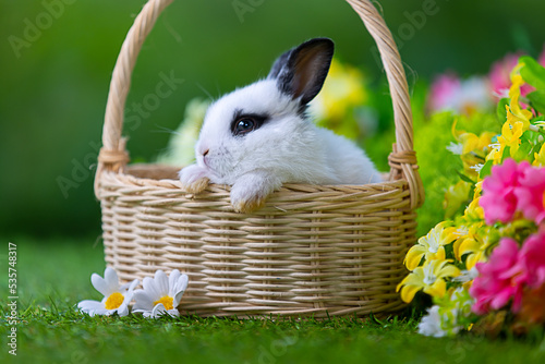 Lovely bunny easter fluffy new born baby white rabbit on colorful flowers and easter eggs on green garden nature background on warmimg day. Animal symbol of easter day festival. photo