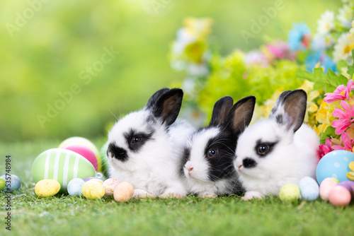 Lovely bunny easter fluffy new born baby white rabbit on colorful flowers and easter eggs on green garden nature background on warmimg day. Animal symbol of easter day festival. photo