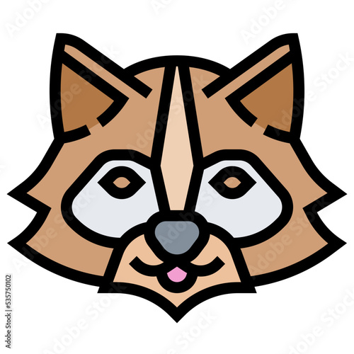 racoon icon