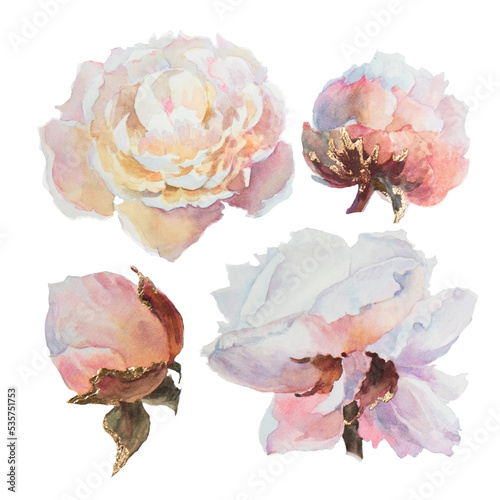 Watercolor Collection of White Peonies isolated on White. photo