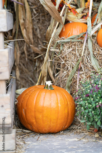 A large Halloween pumpkin between straw bales and a harvest storage box.