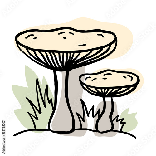 Mushrooms in the forest. Hand drawn. Isolated on whine.