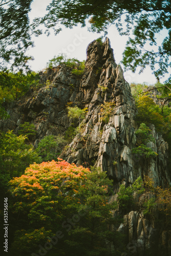 Berg im Herbst am Bodekessel Harz photo