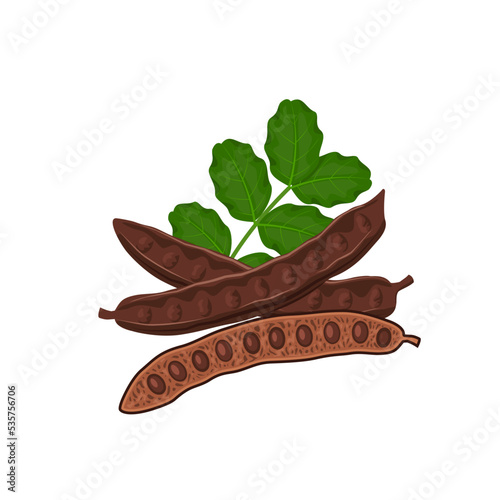 Vector illustration, carob pods and beans, with green leaves, isolated on a white background.