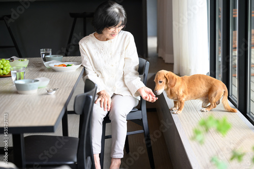 Photography Asian seniors with their dogs