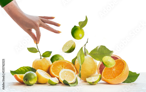 Fototapeta Women hand and group of various citrus fruits, isolated