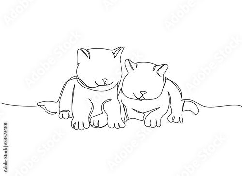 Birman Cat, kittens one line art. Continuous line drawing of pet, mammal, purebred, breed, friendship, kitty, friend, pedigree, character.