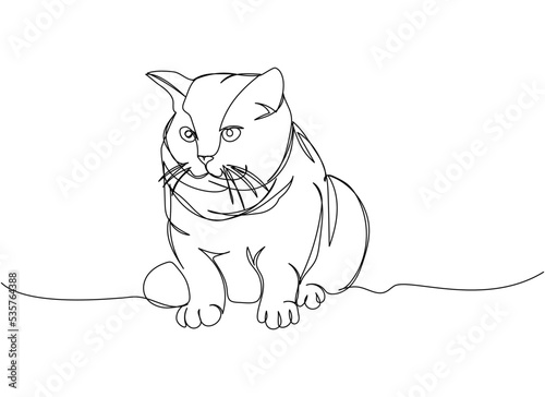 Scottish Fold Cat one line art. Continuous line drawing of pet, mammal, kitten, purebred, breed, friendship, kitty, friend, pedigree, character.