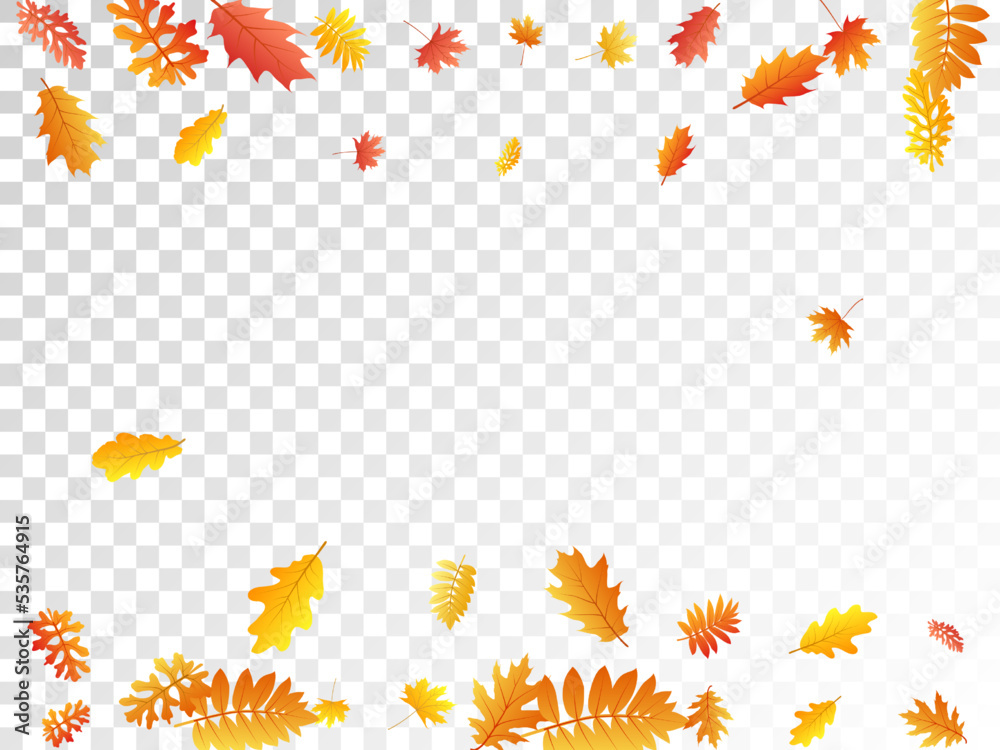 Oak, maple, wild ash rowan leaves vector, autumn foliage on transparent background. Oak, maple, wild ash rowan leaves vector, autumn foliage on transparent background.