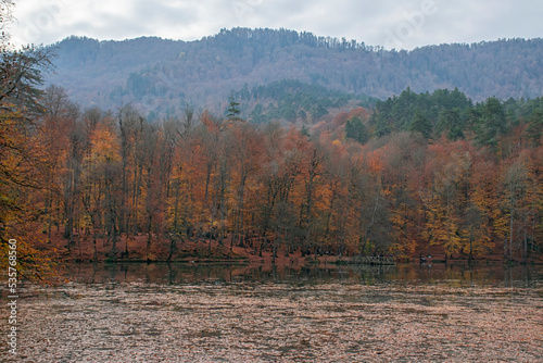 Autumn colors. Colorful fallen leaves in the lake. Magnificent landscape. Natonial Park.