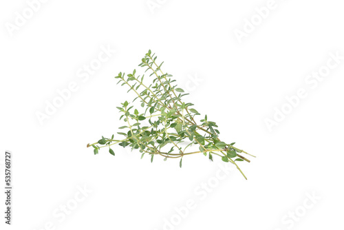 Thyme herb isolated on a white background.