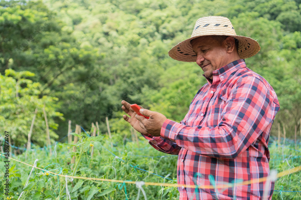Fototapeta premium Happy worker with a cell phone standing in a field