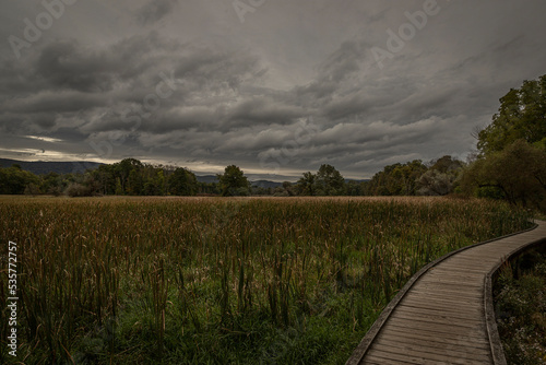 Pochuck Boardwalk - Appalachian Trial, Vernon, NJ