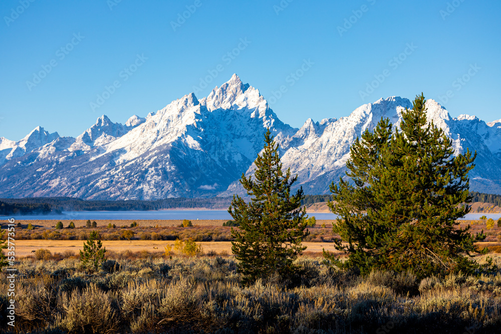 Forest inside Willow Flats with background of Grand Teton. Forest inside Willow Flats with background of Grand Teton.